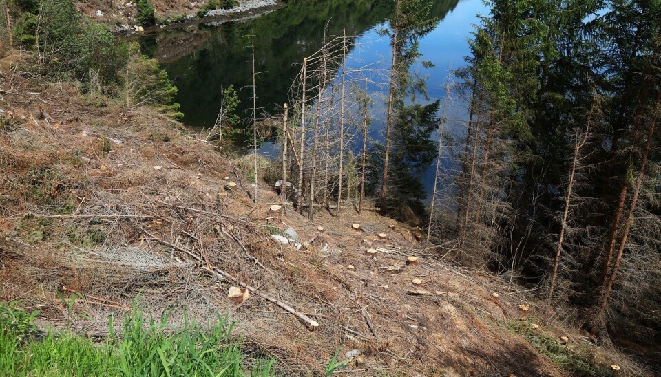 Folk vil bevare mer natur.