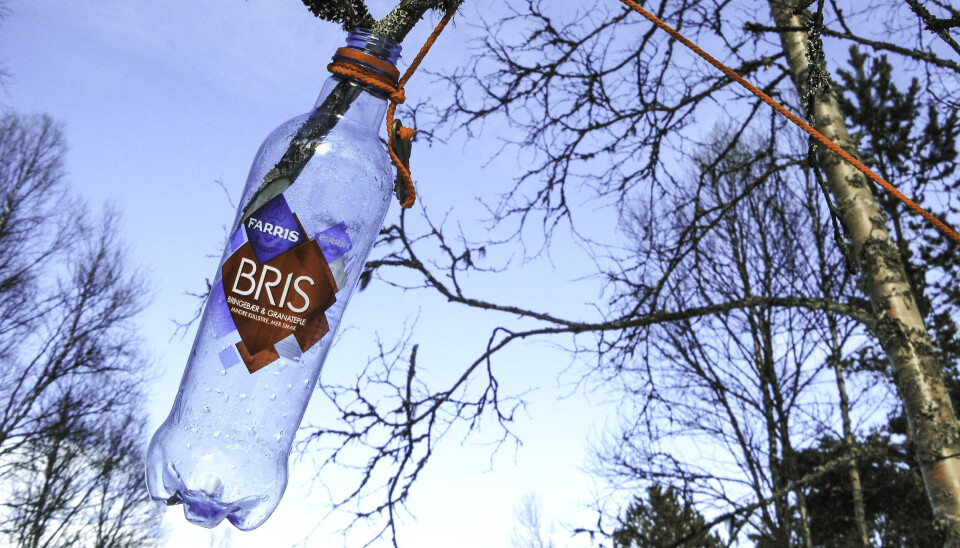 Rett fra treet: Nyt en deilig bjørke-cocktail. Det hevdes at sevjen blir søtest etter en kald og streng vinter. Etter få timer er flaska full av deilig, kald og forfriskende bjørkesaft. Ferdig servert, vær så god! Rett fra treet: Nyt en deilig bjørke-cocktail. Det hevdes at sevjen blir søtest etter en kald og streng vinter. Etter få timer er flaska full av deilig, kald og forfriskende bjørkesaft. Ferdig servert, vær så god!