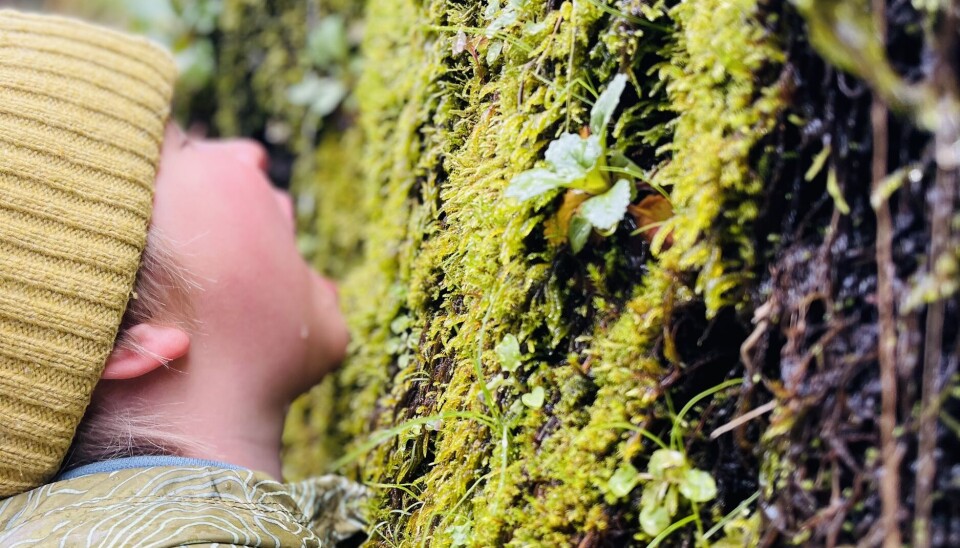 Naturen er en læremester når det gjelder å koble på sansene Naturen er en læremester når det gjelder å koble på sansene