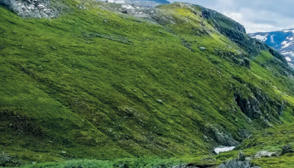 Fra Vetle Utladalen