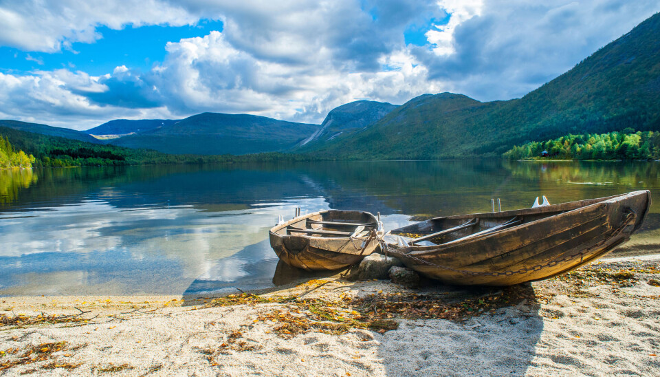 Sjettevatnet i Sagvassdalen, Hamarøy - en av Statskog fiskeperler