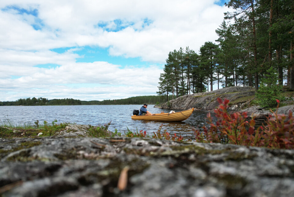Høst i anmarsj. Sted: Bjorneroa ved Randsfjorden