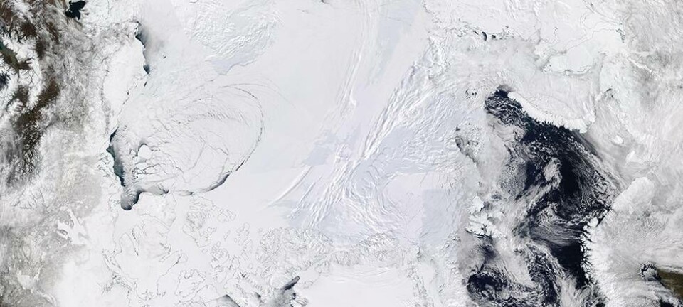 I løpet av noen apriluker i 2016 sprakk isen i store deler av Beauforthavet, nord for Alaska opp. Området vises lengst til venstre i bildet, som er fra 21. april. Nordkysten av Grønland vises nederst og kysten av Nord-Norge lengst til høyre