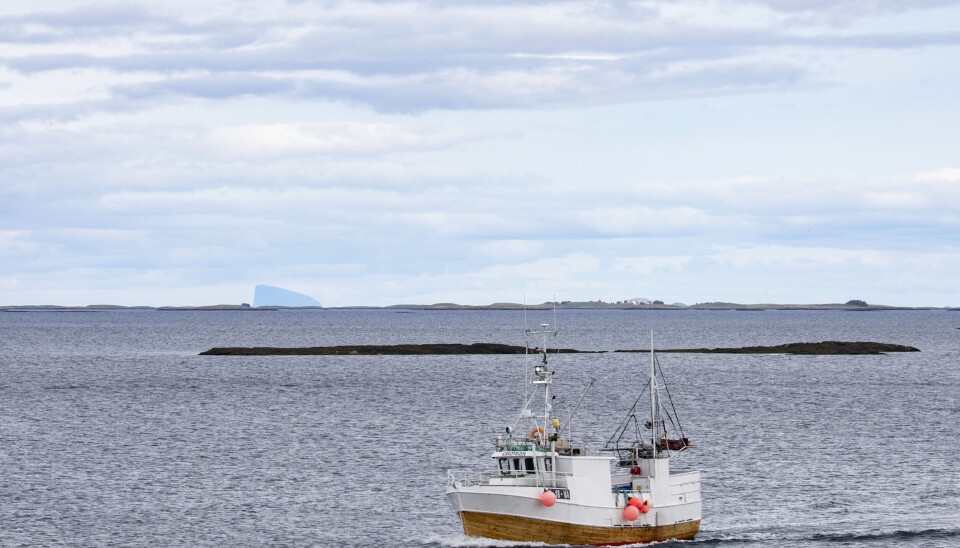 Det estimeres at det finnes mellom 600 og noen tusen millioner tonn dypvannsfisk, noe som er mye mer enn verdens årlige villfiskfangst. En utfordring blir hvordan man skal drive bærekraftig fangst på småfisken nede i havdypene.