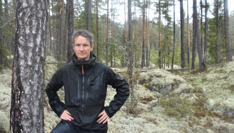 Truls Gulowsen, leder i Naturvernforbundet.
