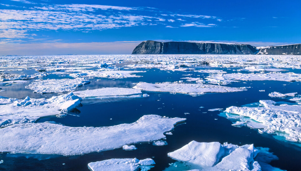Forskerne mener vi bør fokusere på kystområder for å forstå hvor raskt leveforholdene til planter, dyr og mennesker i Arktis blir påvirket av klimaendringene