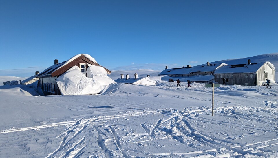Nydelig vintervær