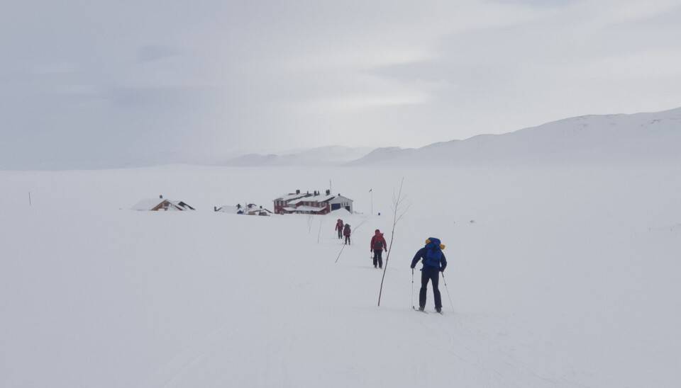 70 år med DNT Hardangervidda tur med hundespannfølge