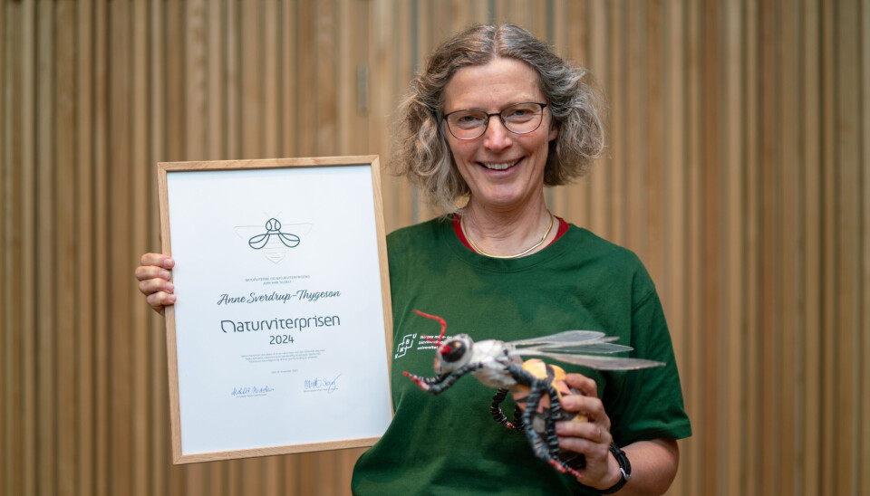 Anne Sverdrup-Thygeson er tildelt Naturviterprisen 2024