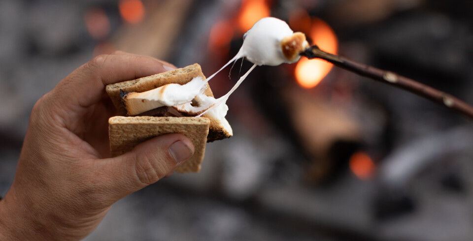 Kan hende vil du ha S'mores (some more)?