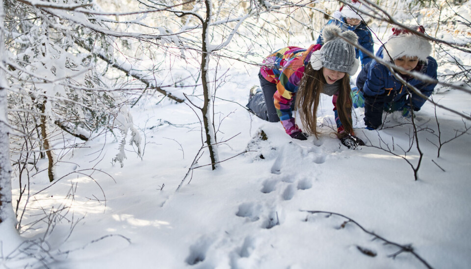 Spor i snøen – hvem har gått her?