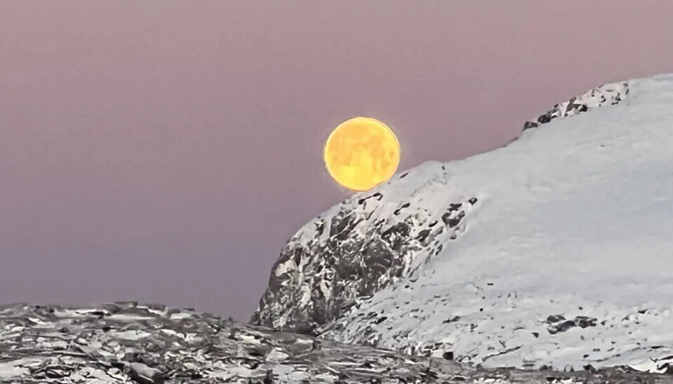Fullmånen hilser på Offersøykammen. Bilde er tatt på Vestvågøy, Lofoten