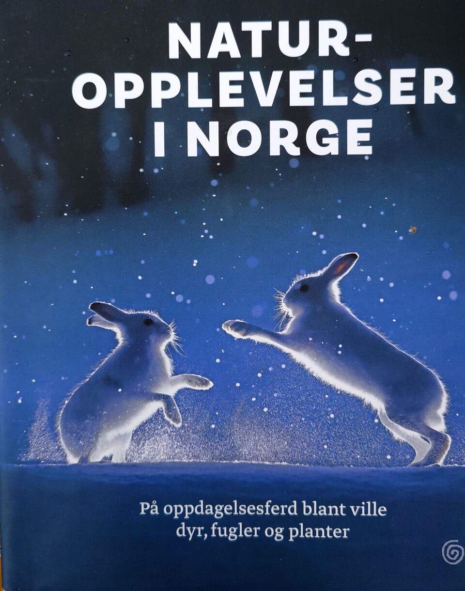 Ny bok: Naturopplevelser i norge