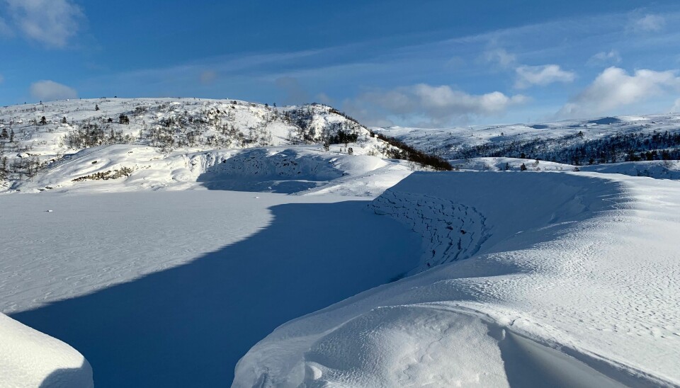 Illustrasjonsbilde fra dam Langevatn i Åseral.