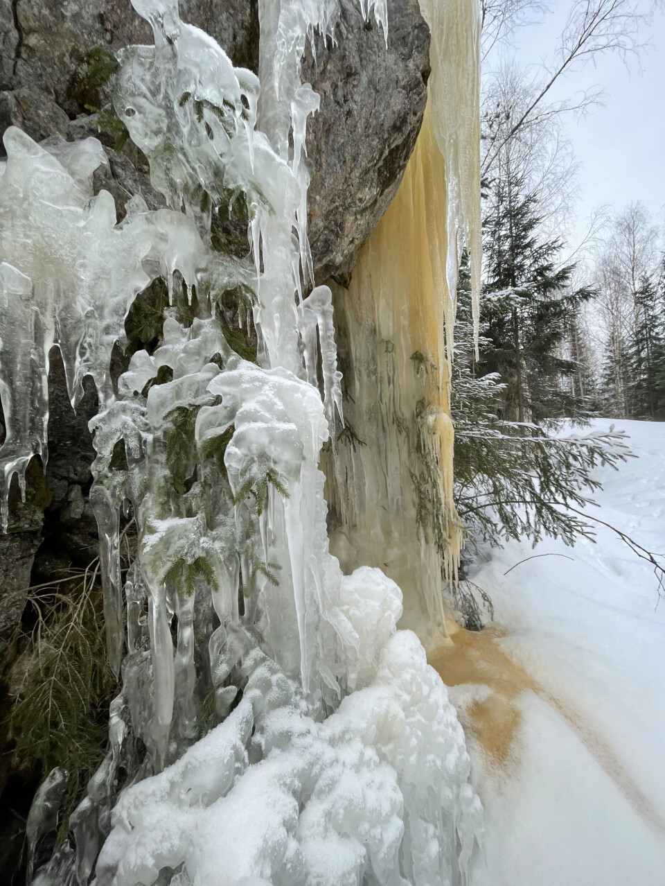 Naturens eget kunstverk. Sted: Ås, Akershus