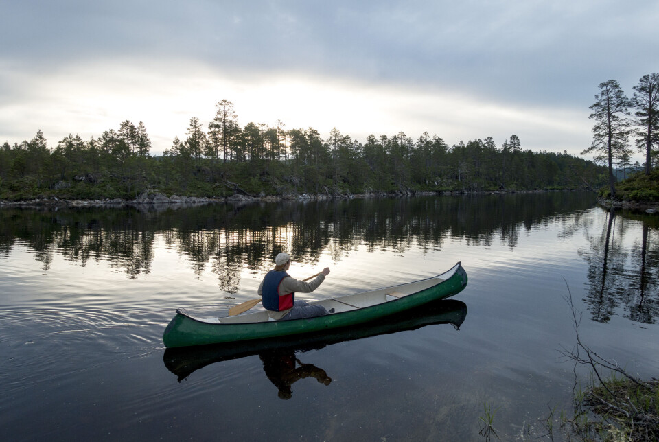 23 frivillige organisasjoner og friluftsråd får tilskuddsmidler til friluftslivsaktivitet i 2025. 23 frivillige organisasjoner og friluftsråd får tilskuddsmidler til friluftslivsaktivitet i 2025.