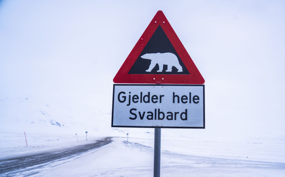Et fareskilt som advarer mot isbjørn utenfor Longyearbyen på Svalbard. Et fareskilt som advarer mot isbjørn utenfor Longyearbyen på Svalbard.