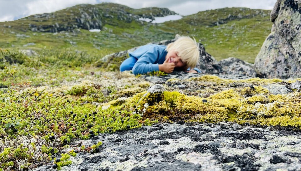 Detaljer er mer spennende enn framdrift på tur med barn, Haukeli et sted.