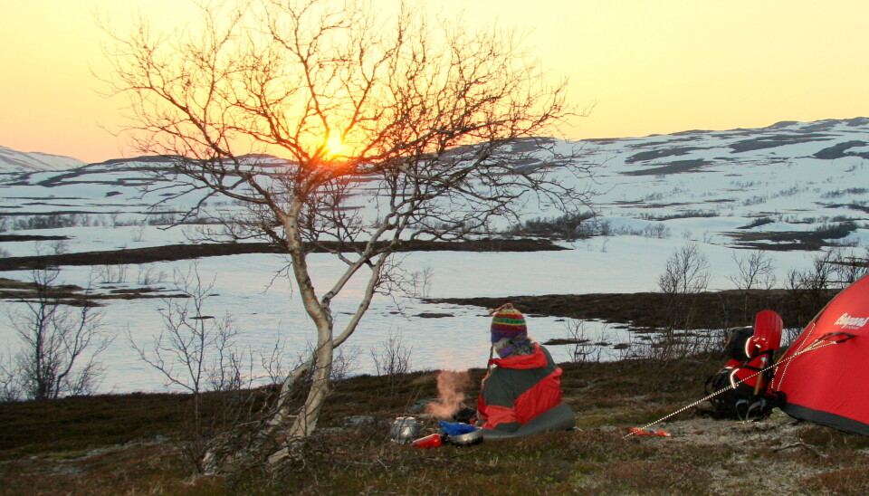 Lær om naturens helbredende kraft og hvorfor det er viktig å lytte til stillheten i en travel hverdag.