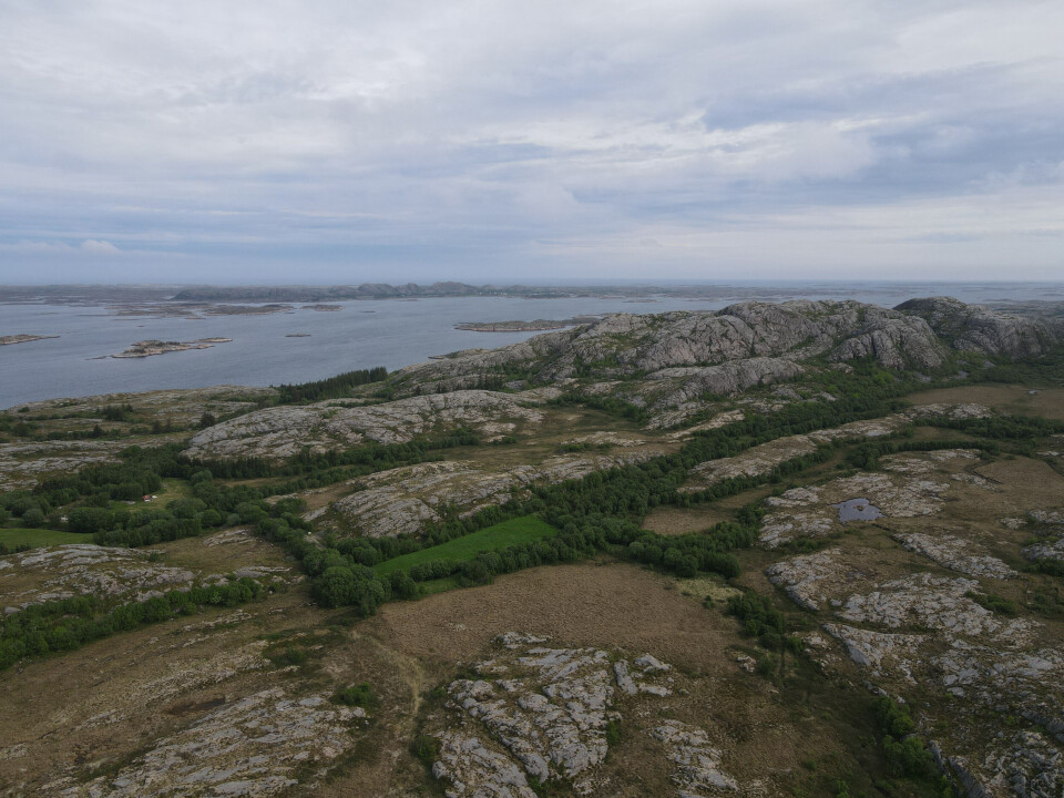 Nærøysund kommune kan få en ny nasjonalpark i framtida. Her kan det bli en ny nasjonalpark i framtida.