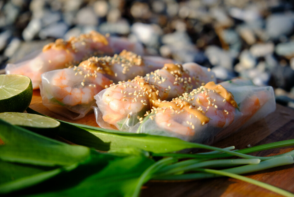Sommerruller med peanøttdipp