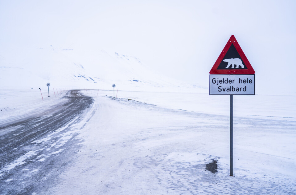 Dette fareskiltet er et yndet fotoobjekt - men sier også noe om hva som venter dem som beveger seg utenfor Longyearbyen på Svalbard. Nå skal autoriserte guider øke sikkerheten for turister. Dette fareskiltet er et yndet fotoobjekt - men sier også noe om hva som venter dem som beveger seg utenfor Longyearbyen på Svalbard. Nå skal autoriserte guider øke sikkerheten for turister.