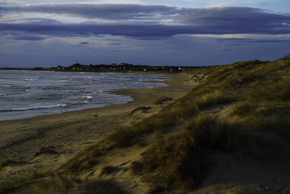 Under vann er tangen i ferd med å bli dekt av brun lurv i Oslofjorden. Foto: Terje Bendiksby / NTB
Grønnalger blomstrer også når sjøen blir varmere, kombinert med for mye næringsstoffer i sjøen, her fra Bjørvika. Foto: Terje Bendiksby / N... Det ekstremt varme havet strekker seg fra kysten av Trøndelag til Sverige og Danmark. Her fra Boresanden i Klepp på Jæren. Under vann er tangen i ferd med å bli dekt av brun lurv i Oslofjorden. Foto: Terje Bendiksby / NTB Grønnalger blomstrer også når sjøen blir varmere, kombinert med for mye næringsstoffer i sjøen, her fra Bjørvika. Foto: Terje Bendiksby / N... Det ekstremt varme havet strekker seg fra kysten av Trøndelag til Sverige og Danmark. Her fra Boresanden i Klepp på Jæren.
