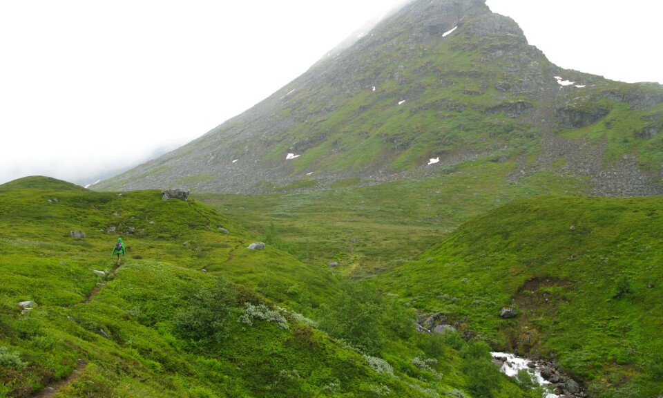 Topptur i Geiranger