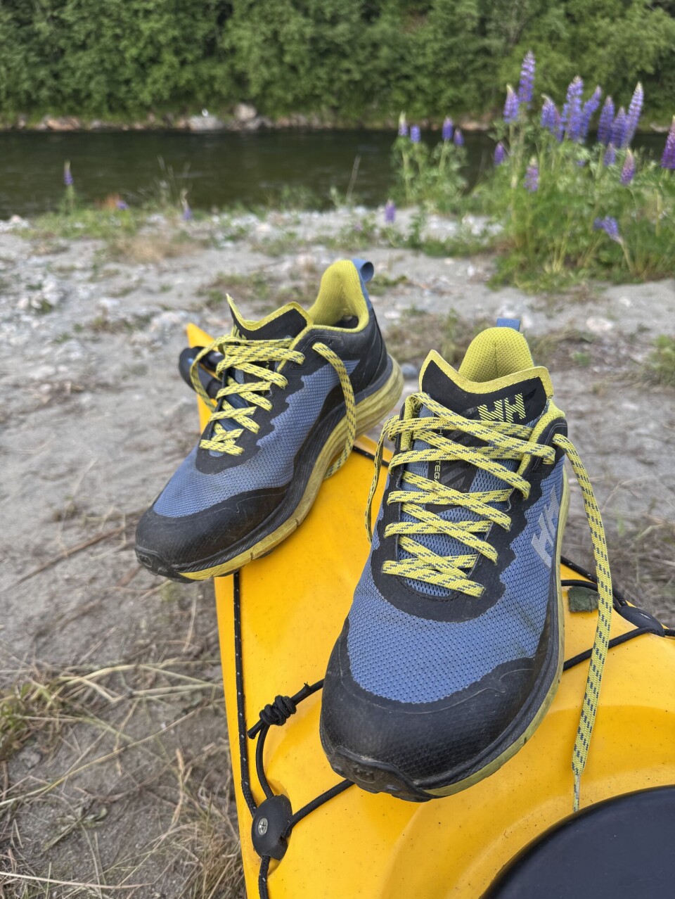 Stega Helly Tech® Waterproof Hiking Shoes Herre