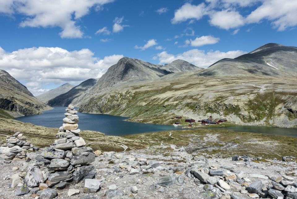 Rondane er blant områdene der det finnes villrein i Norge. Rondane er blant områdene der det finnes villrein i Norge.