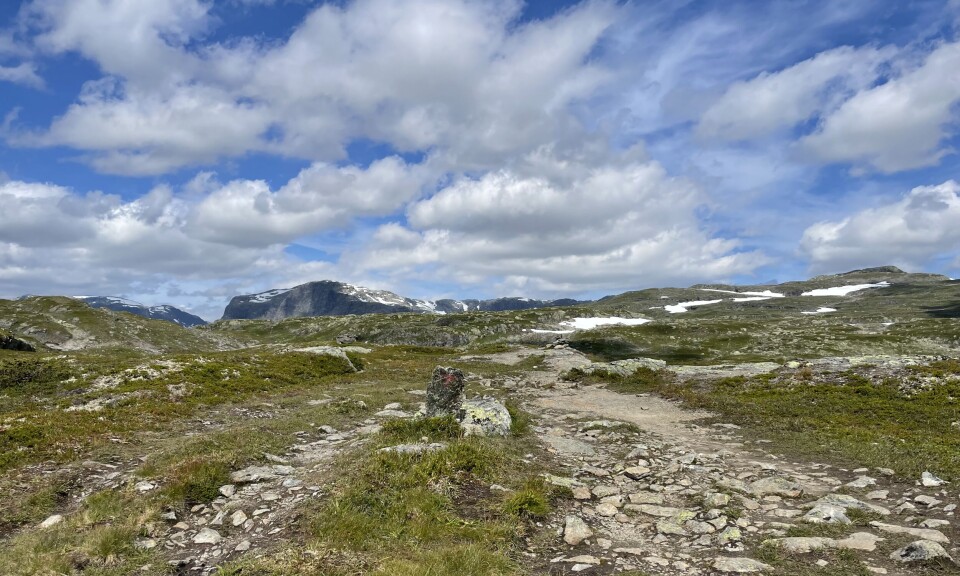 DNT stenger fem hytter av hensyn til villreinen