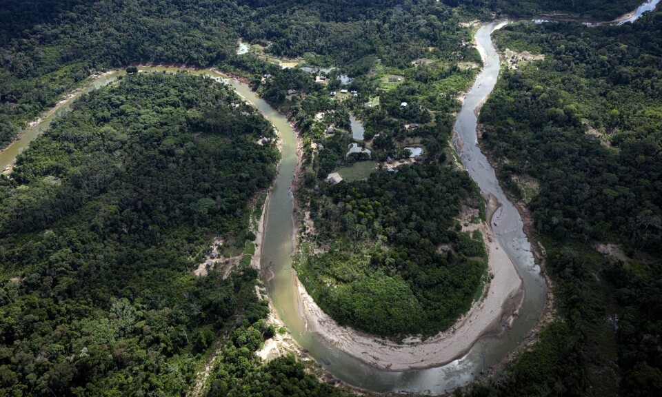 Avskoging i Amazonas blir stadig lavere