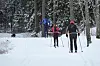Mange i Oslo liker å gå på ski i skogene rundt byen.