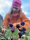 Person i oransje jakke og rosa lue holder seg nær en kvist med mørke bær og grønne blader.