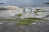 I Færder nasjonalpark er det flere steder det er forbudt å overnatte. Deriblant Ruseodden på Østre Bolæren, Moutmarka og på Sandø og Østre Bustein