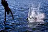 Å hoppe i havet kan ha sine bivirkninger. Nå håper Havforskningsinstituttet på å finne fram til et varslingssystem.