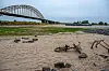 En rusten sykkel og restene av en handlevogn er noe av det som dukket opp da deler av den nederlandske elven Slinge tørket bort i sommervarmen.
