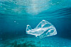 Havforsøplingen og tilførselen av plast til verdenshavene øker globalt ifølge FN og Miljødirektoratet. Det anslås at det årlig havner mellom 9 og 23 millioner tonn plast i havet, og mengden kan tredobles innen 2040 uten nye tiltak.