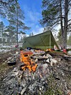 Grønt telt og turutstyr ved et brennende bål i en furuskog.